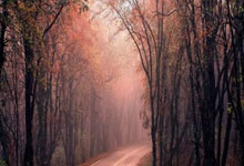 佩蒂特：无法在C罗梅西之间二选一，这就像问最喜欢哪位美女.