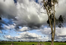 克洛普现场观看了德国杯半决赛，但莱比锡输球无缘决赛.