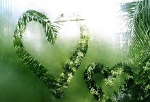 28圈官网：直播吧：国足将根据情况补招球员，高准翼&蒋光太回国后接受检查.