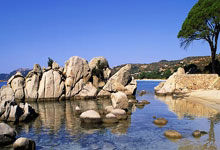 [图]沙特0-0战平日本 世预赛积10分仍居小组第3.